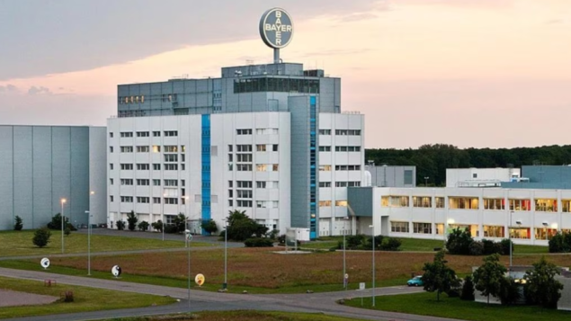 bayer